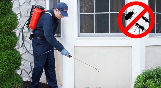 Alucra Bit İlaçlama böcek ilaçlama ve haşere kontrolü — ilaclama-tr.com